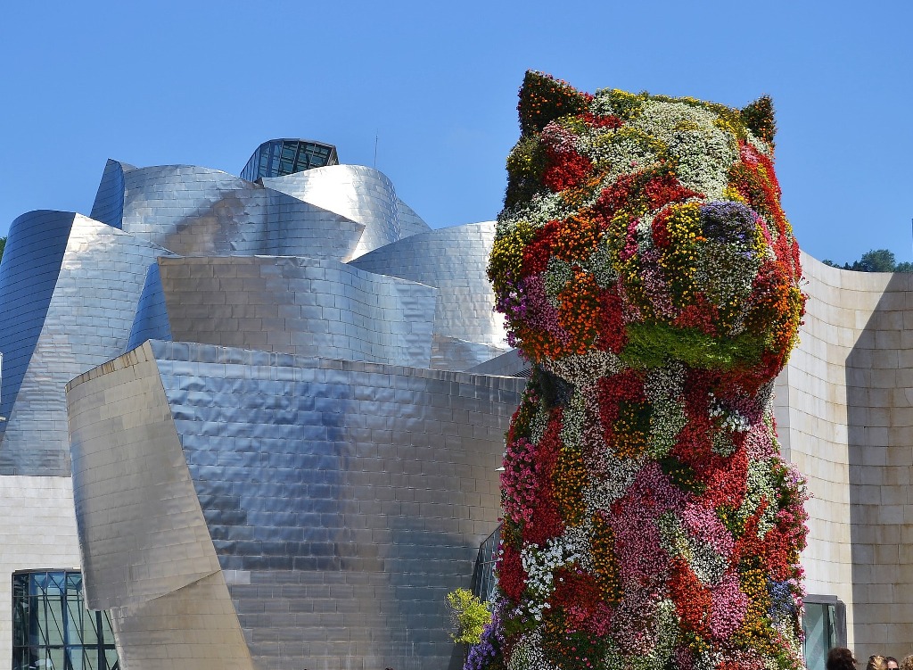 bilbao-2111993_1920puppy