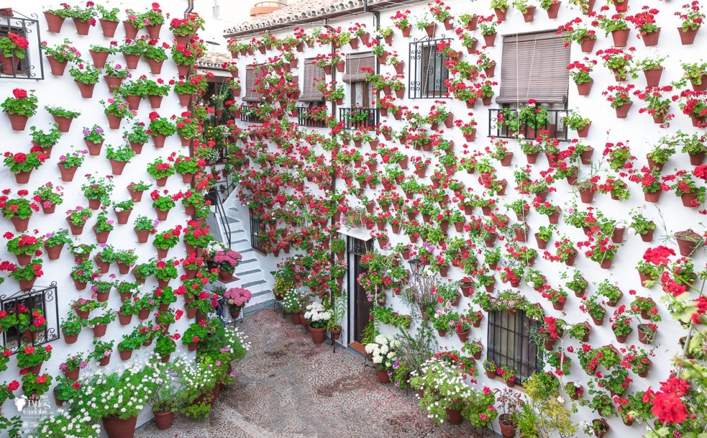 Córdoba - 9 (1)