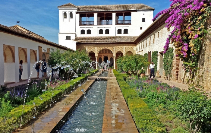 Ave a Granada