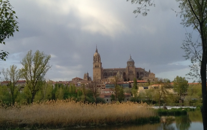 Trenes a Salamanca