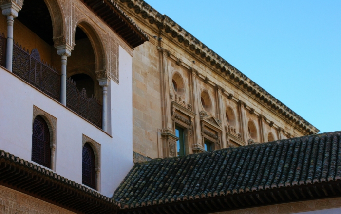 Ave a Granada