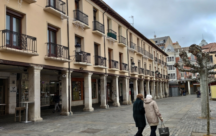 Tren Palencia