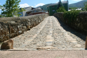 Puente Romano Vega de Espinadera